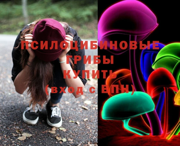 apvp Липки