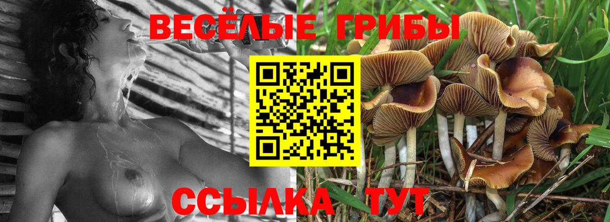 Псилоцибиновые грибы MAGIC MUSHROOMS Кулебаки